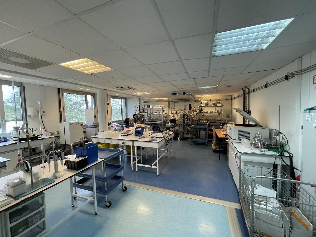 Bureau Loos 2465m² Location bureau Loos Nord OLBUR2119741 5